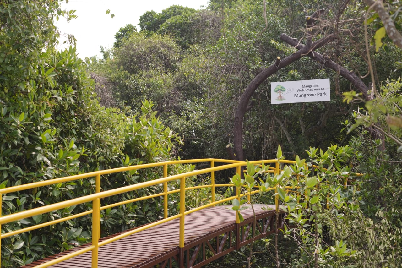 MANGROVE PARK