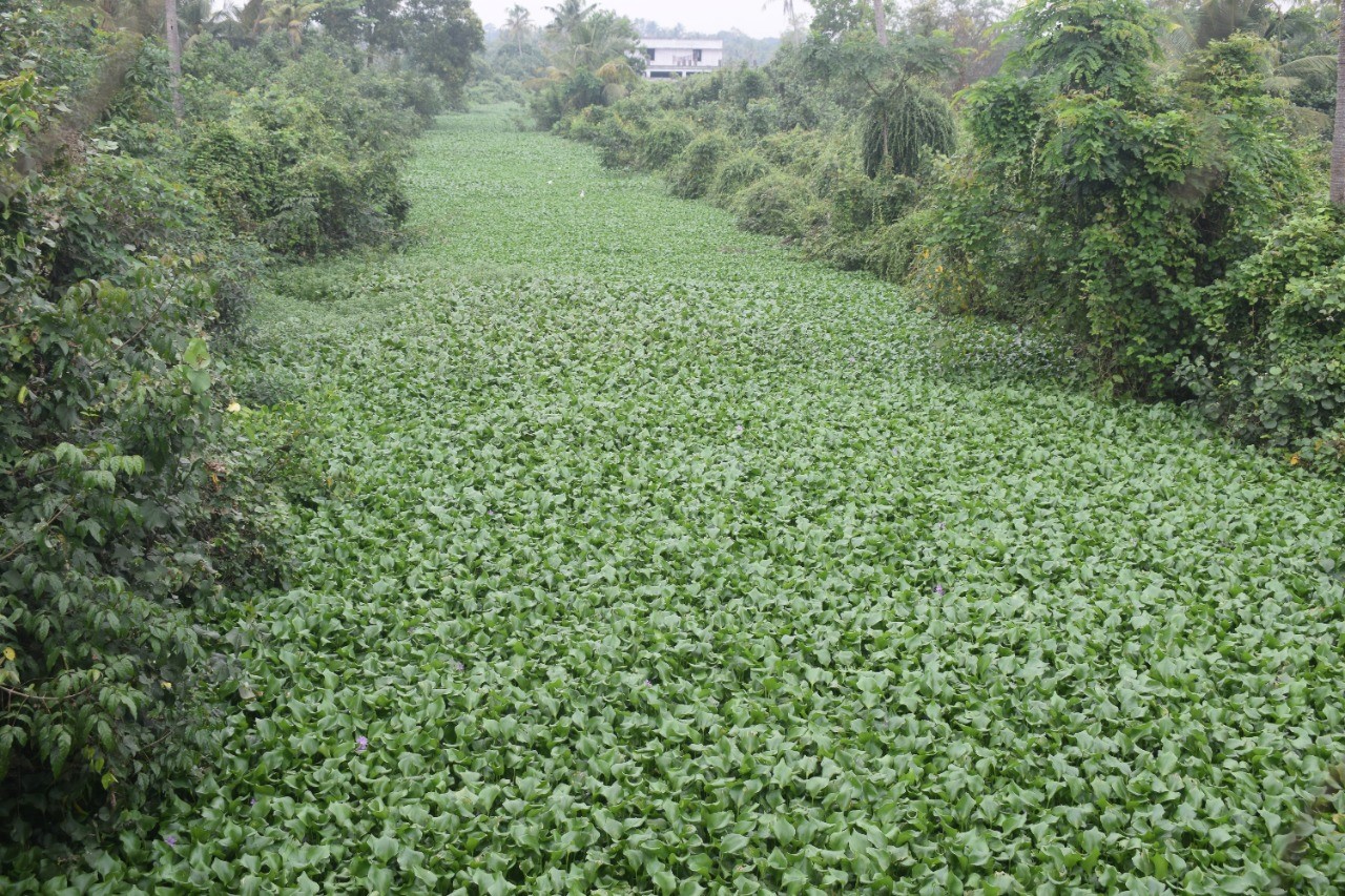 VMF – Vembanad’s Macro Fight