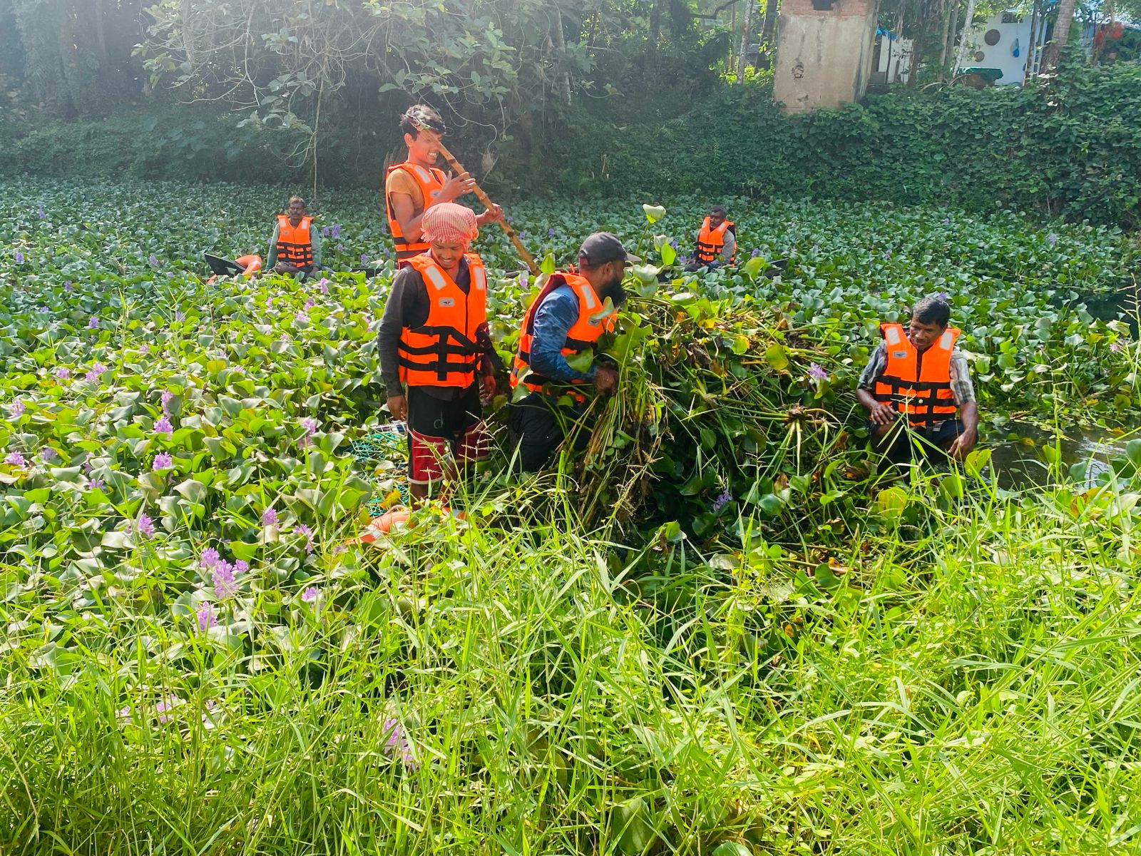 What Makes VMF a Game-Changer?