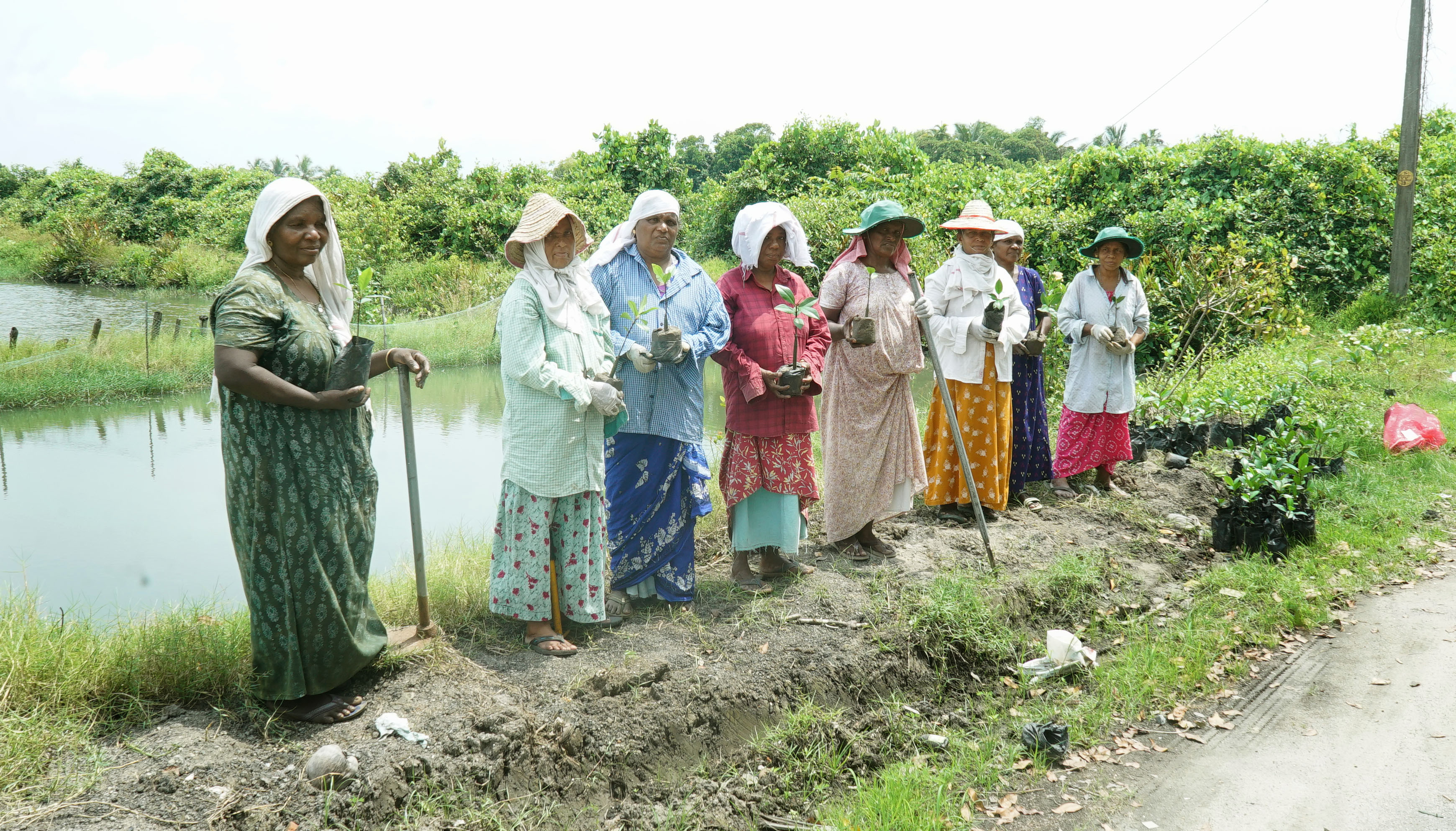 The TRIPLE Bottom line. 