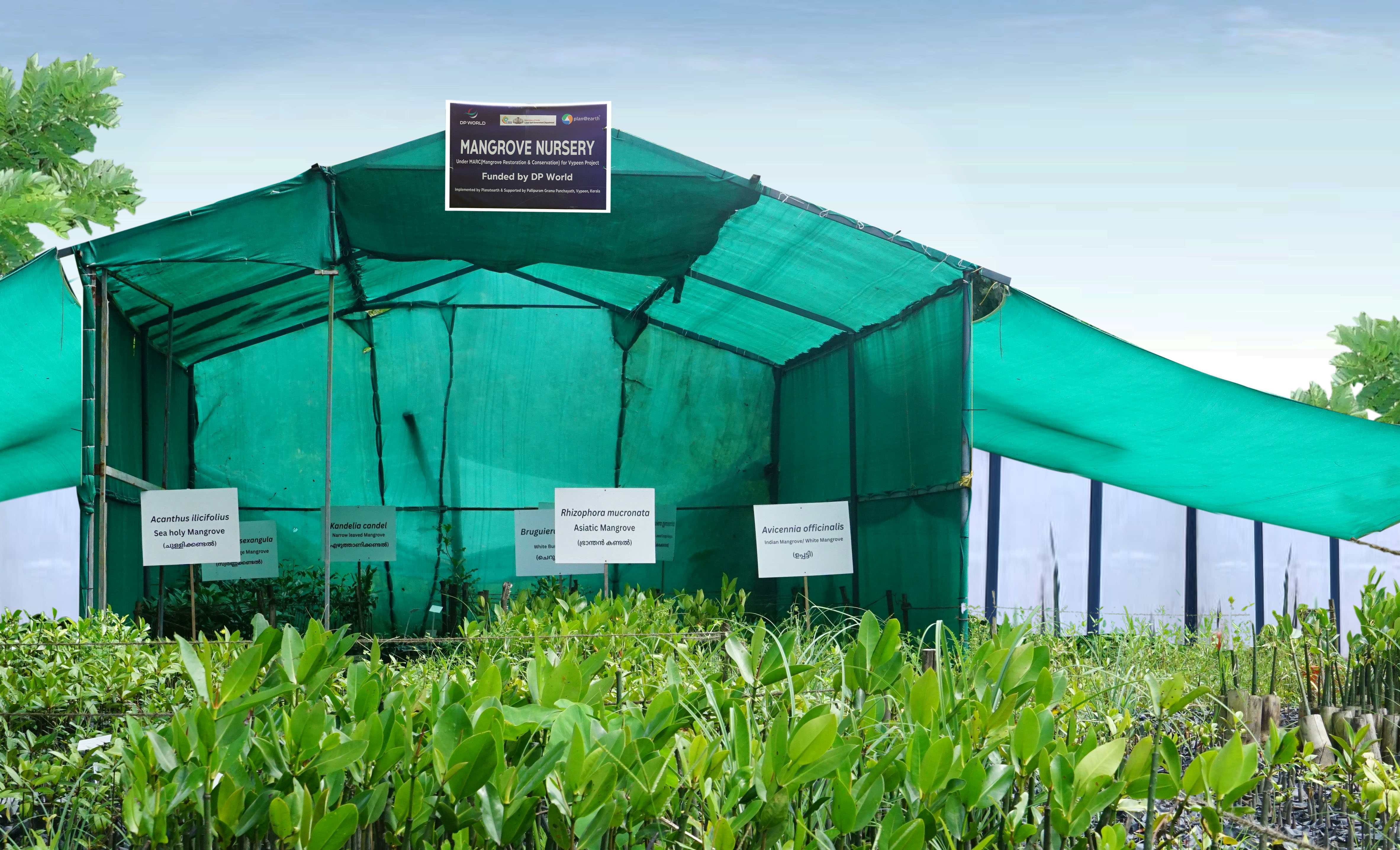 FOUR Mangrove Linked income schemes to the community.