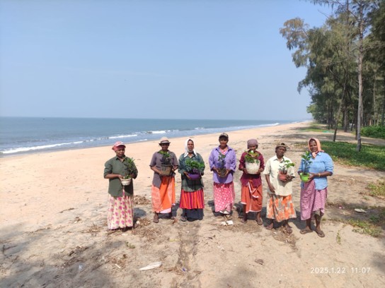 Livelihood and Protection from coastal erosion