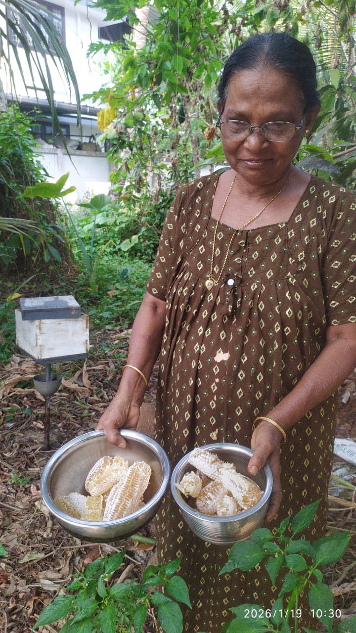 The SECOND livelihood priority is pollination and for that Beekeeping
