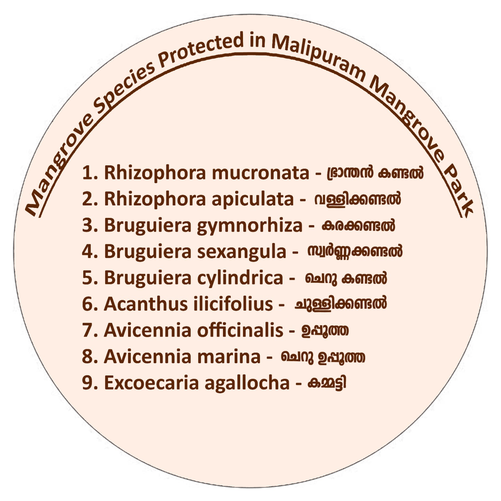 Three Benefits of having Research as Pillar. Support from the scientific community. Identification of problems for future projects. Consolidation of  knowledge and learning for further studies.   