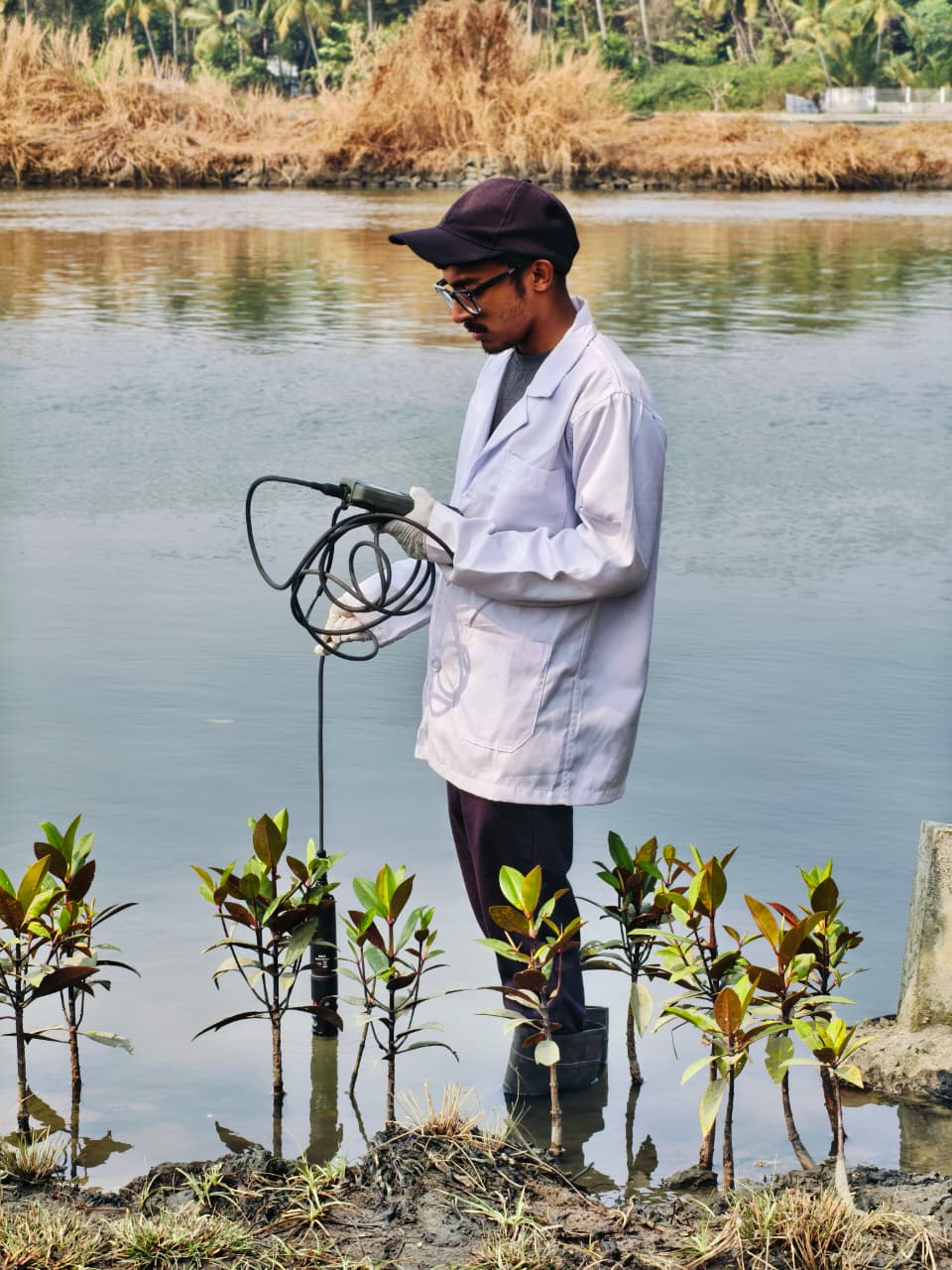 Science and Technology