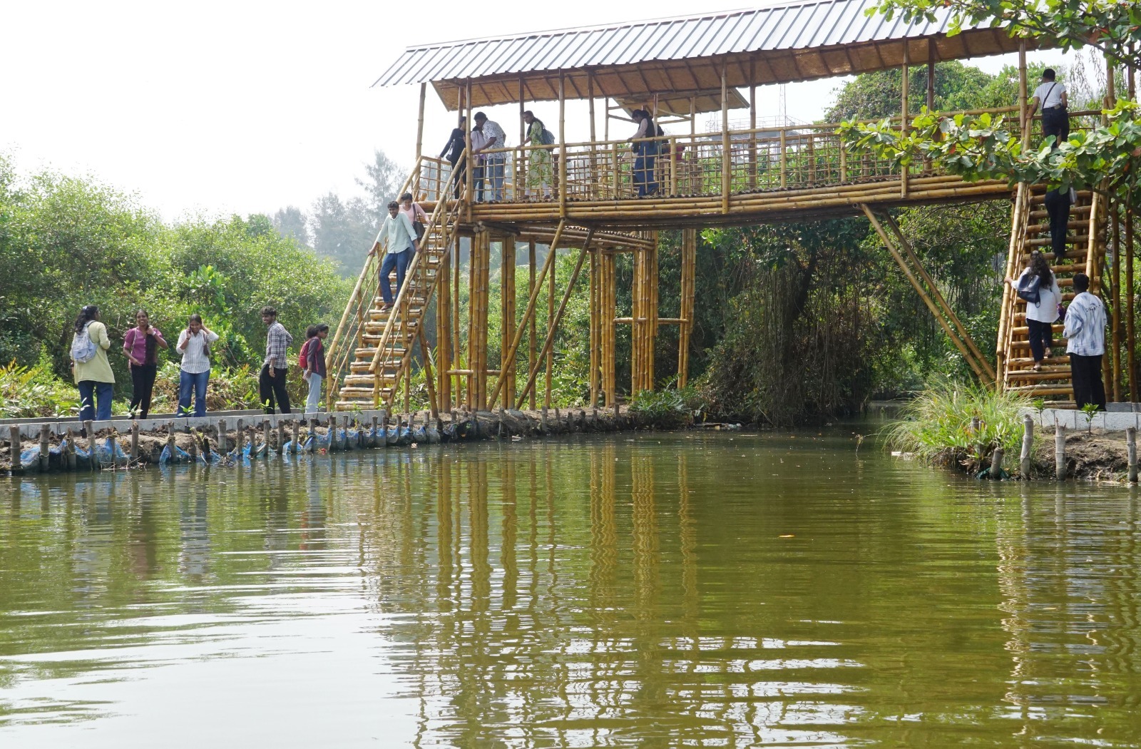 Where Wetlands Tell Their Story — The Mangrove Information Park